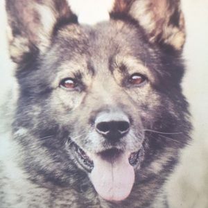 Meet your Posher, Stephen